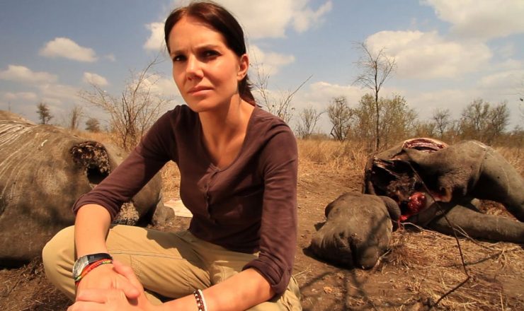 Stroop (Bonneé de Bod & Susan Scott)